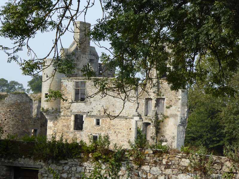 Rémilly sur Lozon_Château de Montfort_1©O.Lehodey