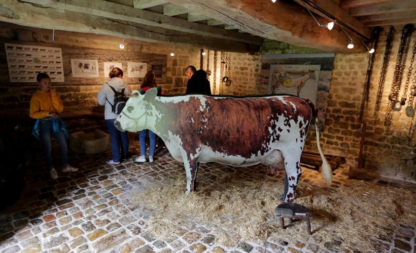 sainte-mere-eglise-ferme-musee-du-cotentin-8©D.Daguier-CD50