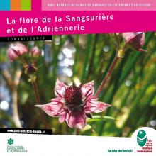 RNN de la Sangsurière et de l'Adriennerie - Flore